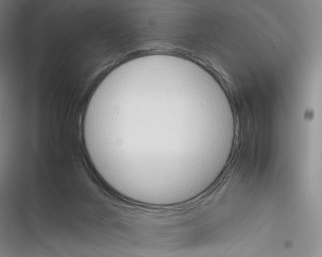 X0000116290024201001111106