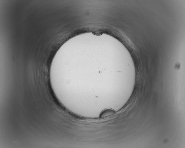 X0000116290025201001111106