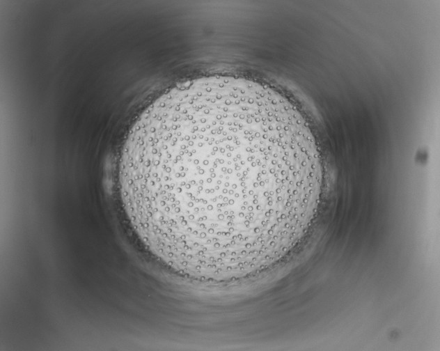 X0000116290026201001111106