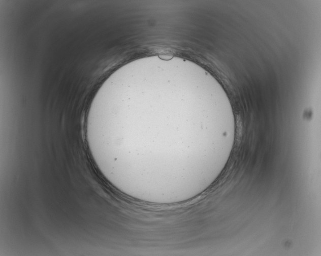 X0000116290028201001111106