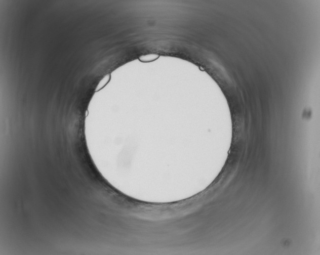 X0000116290029201001111106