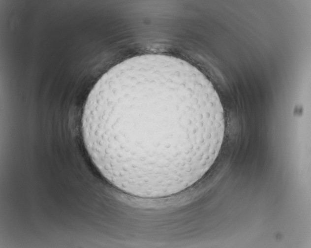 X0000116290030201001111106