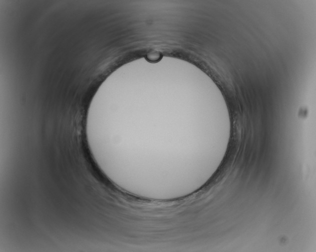 X0000116290032201001111106