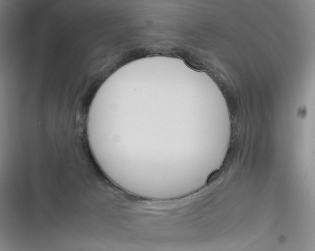 X0000116290033201001111106