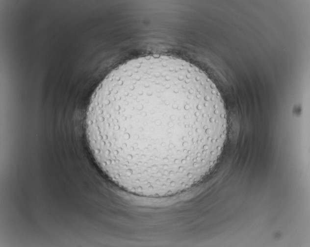 X0000116290034201001111106