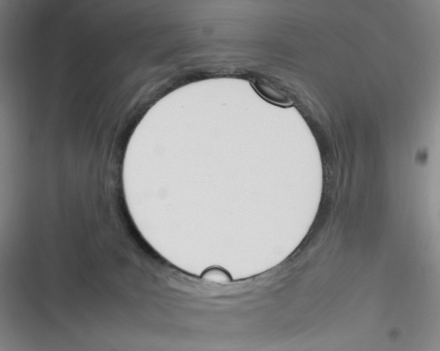 X0000116290035201001111106