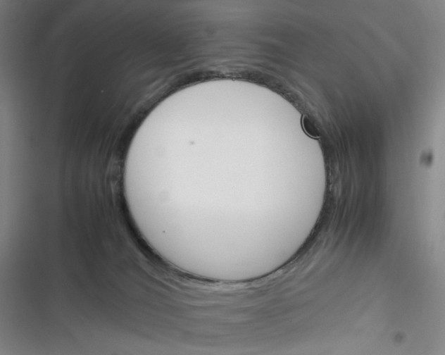 X0000116290036201001111106