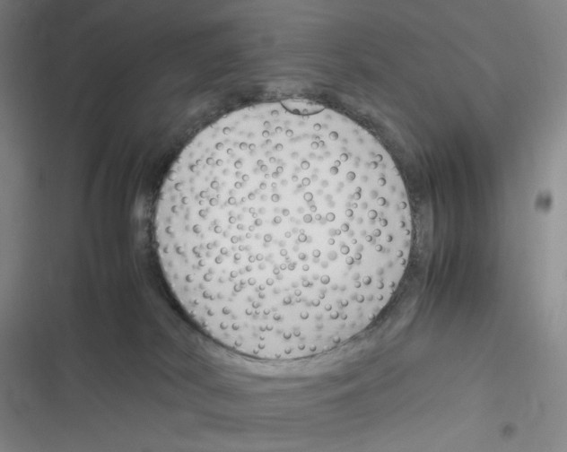 X0000116290038201001111106