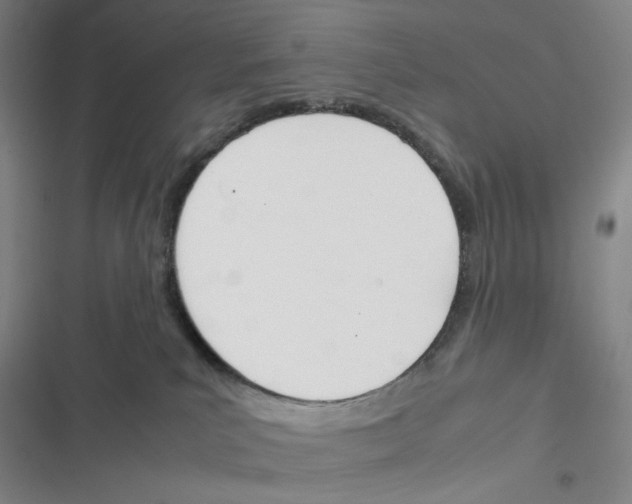 X0000116290039201001111106