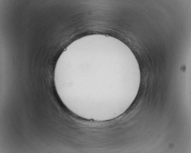 X0000116290040201001111106