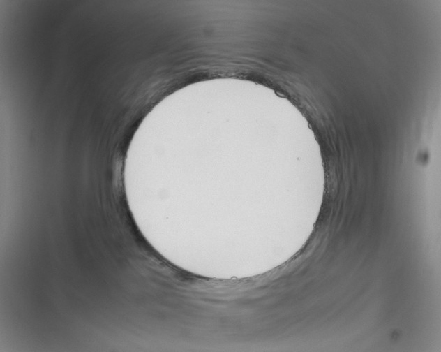 X0000116290041201001111106