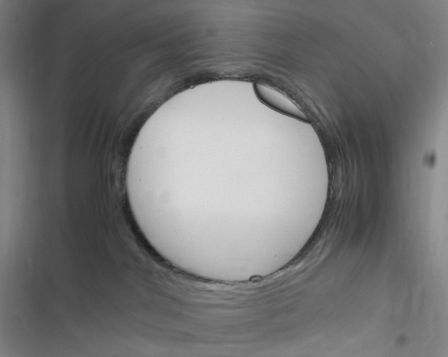 X0000116290044201001111105