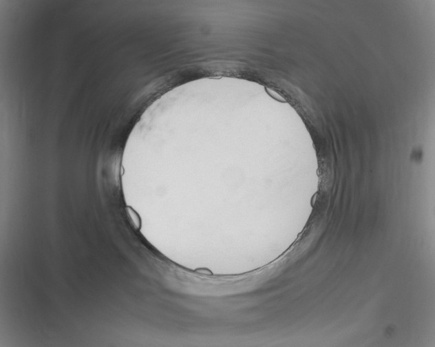 X0000116290047201001111105