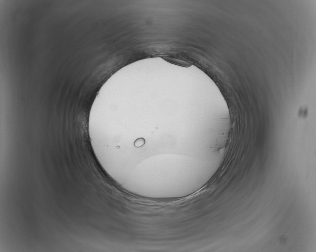 X0000116290048201001111105