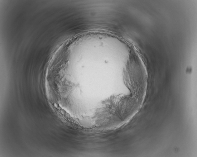 X0000116290049201001111105