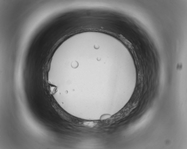 X0000116290050201001111105