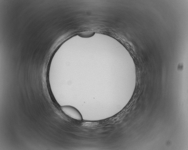 X0000116290051201001111105