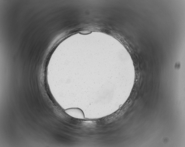 X0000116290053201001111105