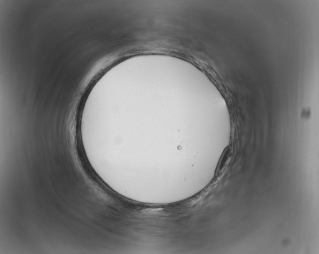 X0000116290054201001111105