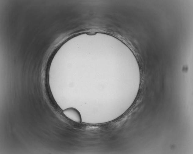 X0000116290055201001111105