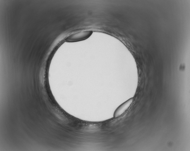 X0000116290056201001111105