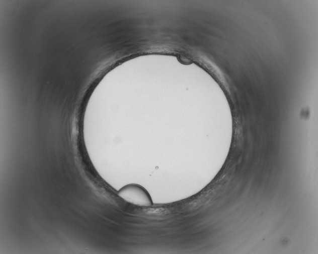 X0000116290059201001111105