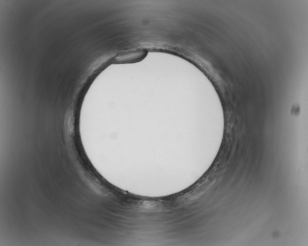 X0000116290060201001111105