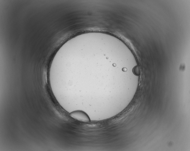 X0000116290061201001111105