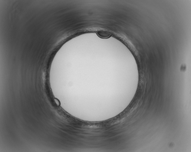 X0000116290063201001111105