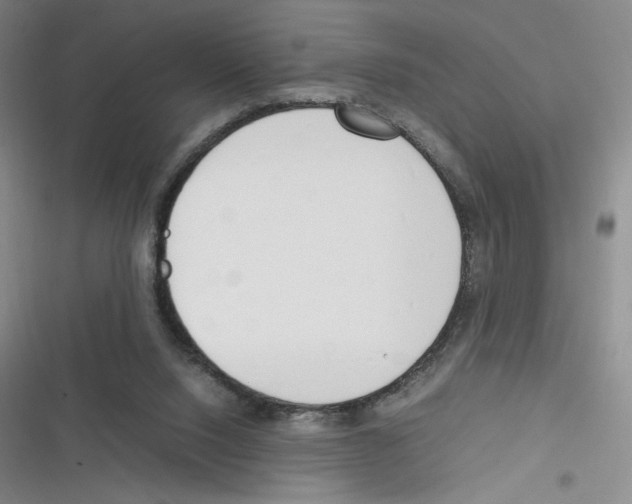 X0000116290064201001111105