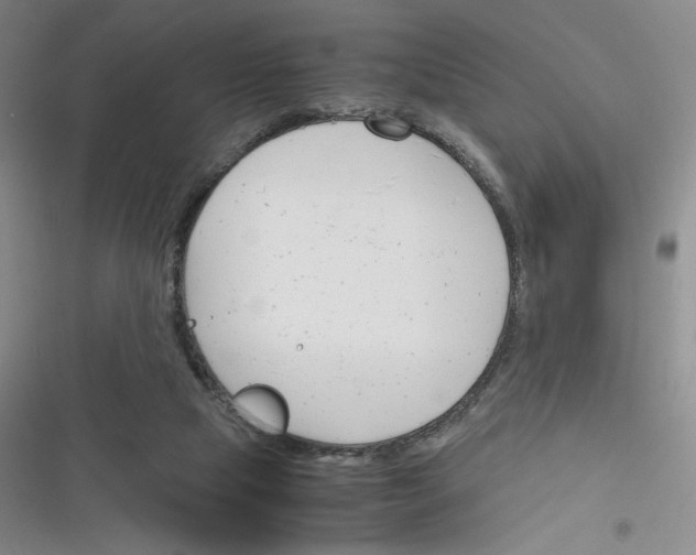 X0000116290065201001111105