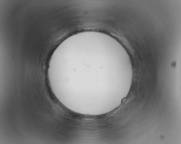 X0000116290066201001111105