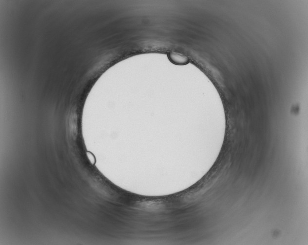 X0000116290067201001111105