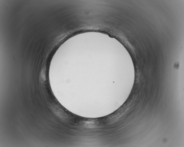 X0000116290068201001111105