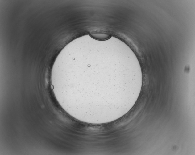 X0000116290069201001111105