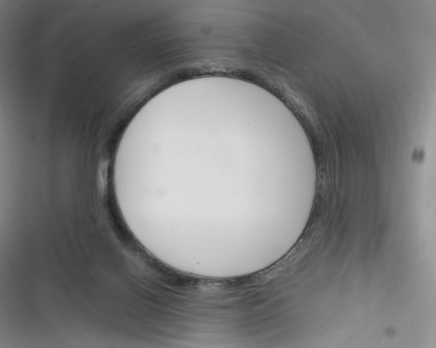 X0000116290070201001111105