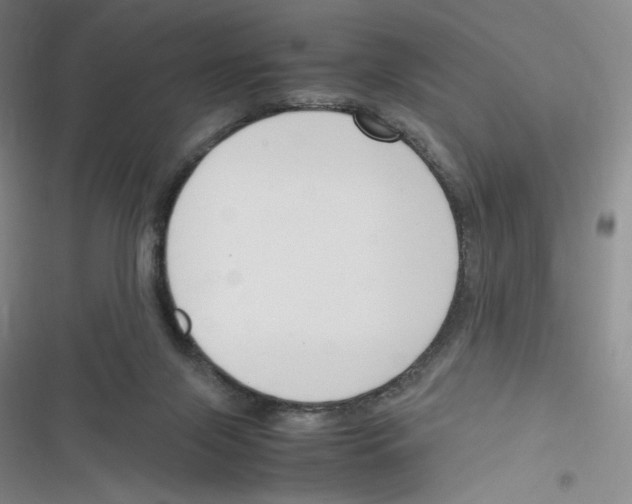 X0000116290071201001111105