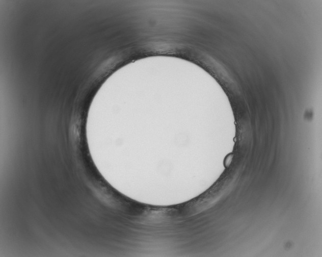 X0000116290072201001111105