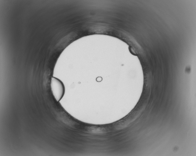 X0000116290073201001111105