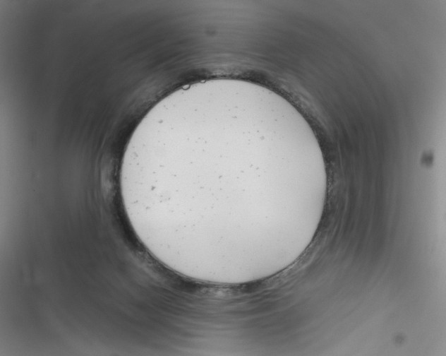 X0000116290074201001111105