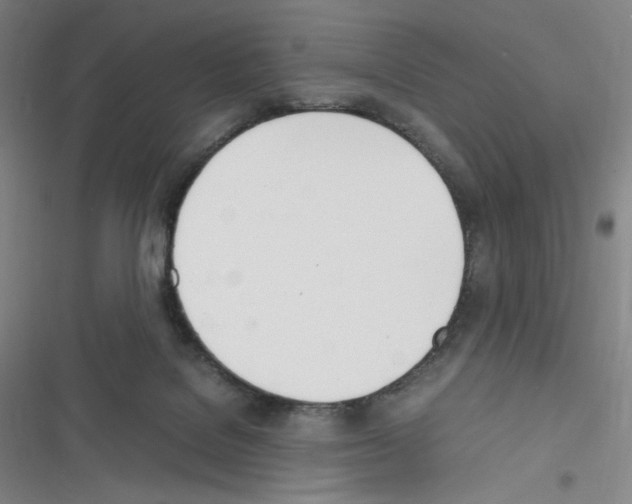 X0000116290076201001111105