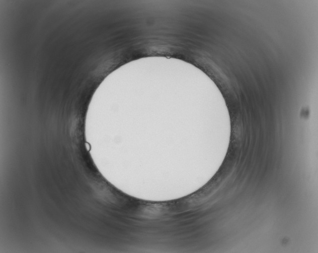 X0000116290079201001111105