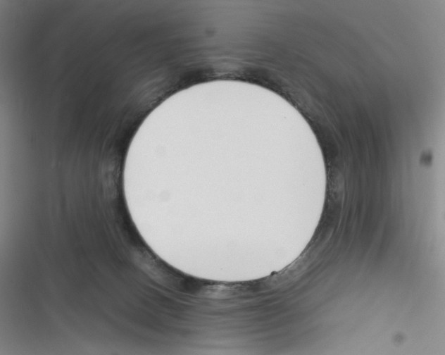 X0000116290082201001111105