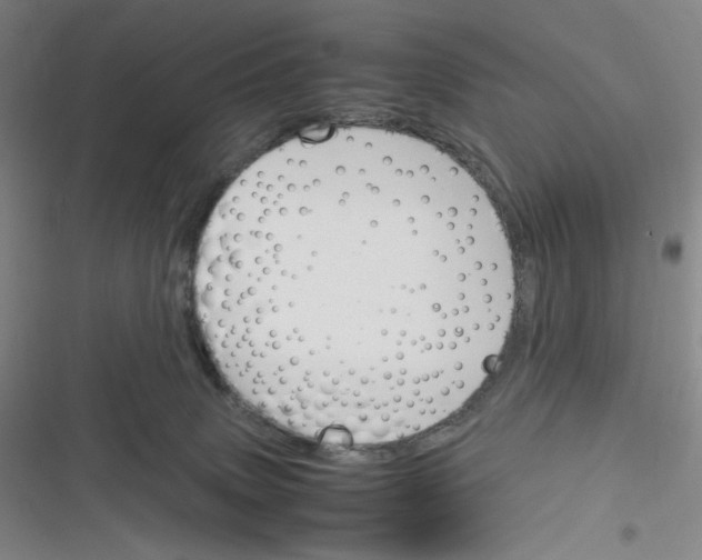 X0000116290083201001111105