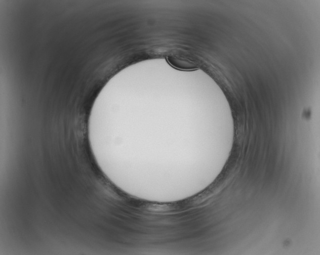 X0000116290085201001111105