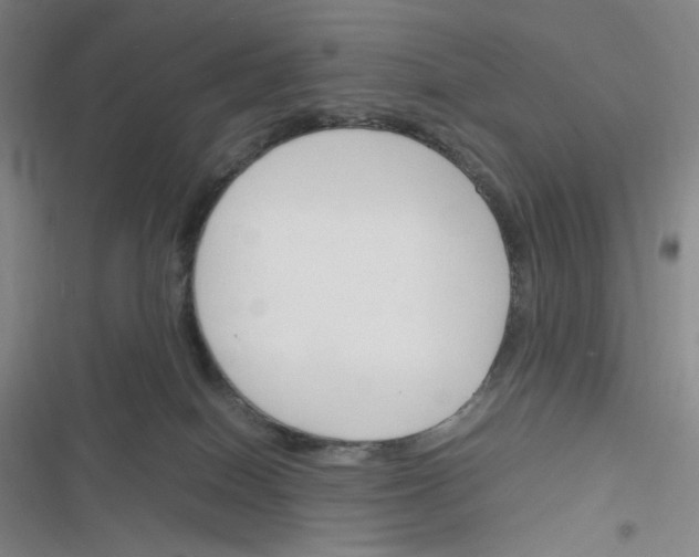 X0000116290086201001111105