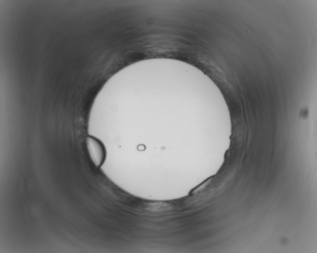 X0000116290087201001111105