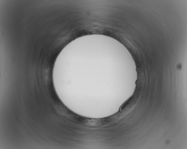 X0000116290088201001111105