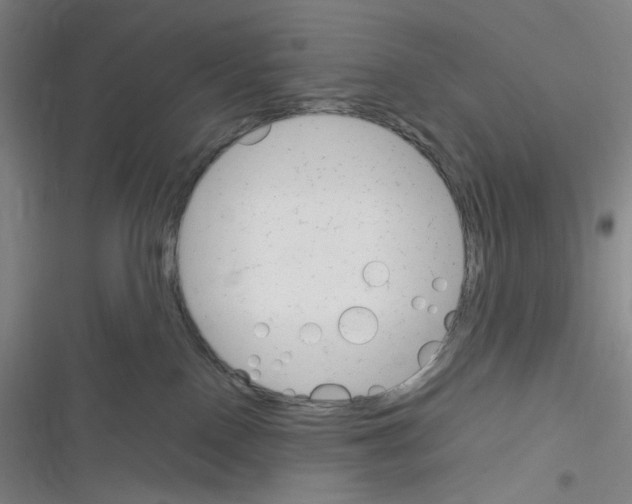 X0000116290090201001111105