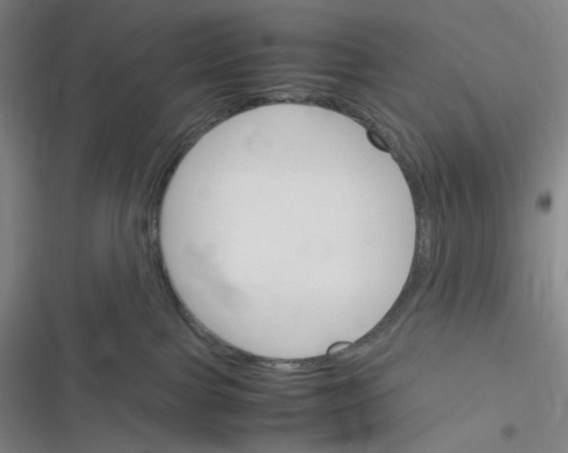 X0000116290091201001111105